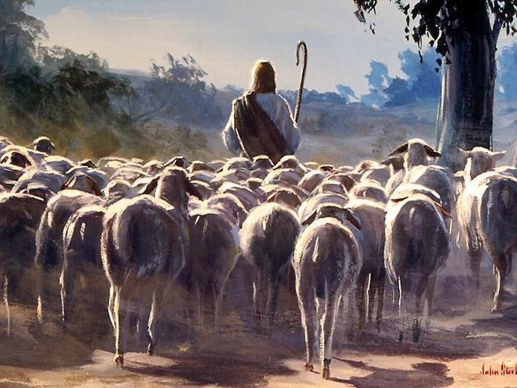 How To Shepherds Christ’s Flock | Discovering God&amp;#39;s Word